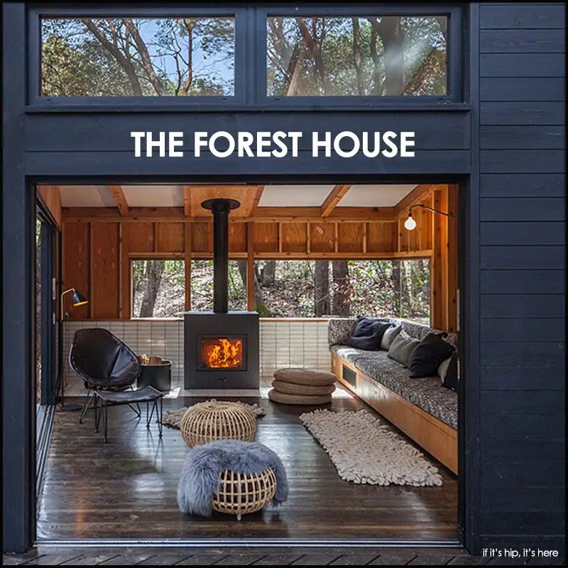 The Forest House by Envelope AD