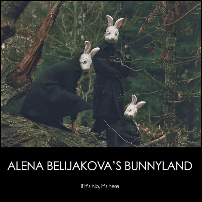 Read more about the article Bunnyland Photos by Russian Photographer Alena Belijakova