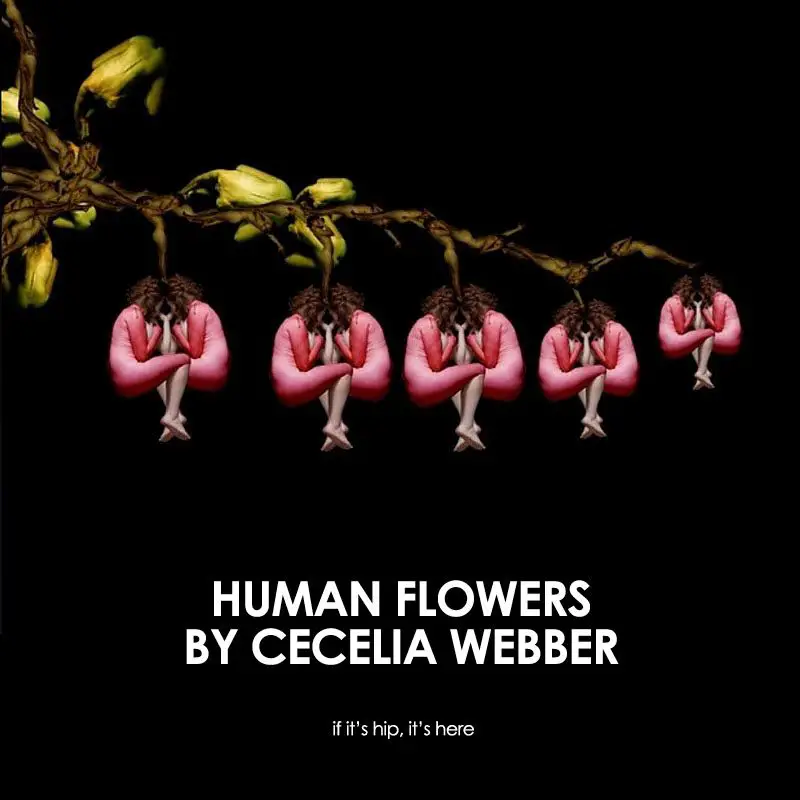 Cecelia Webber's Human Flowers
