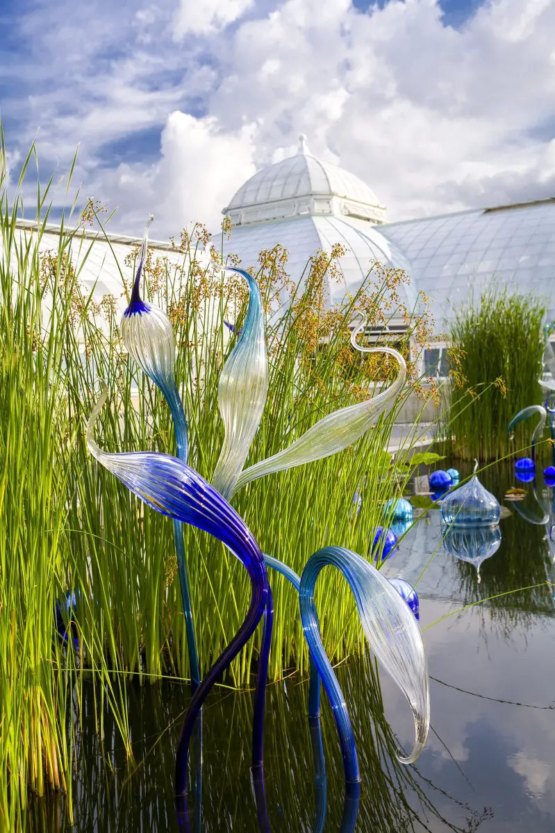 persian pond dale chihuly