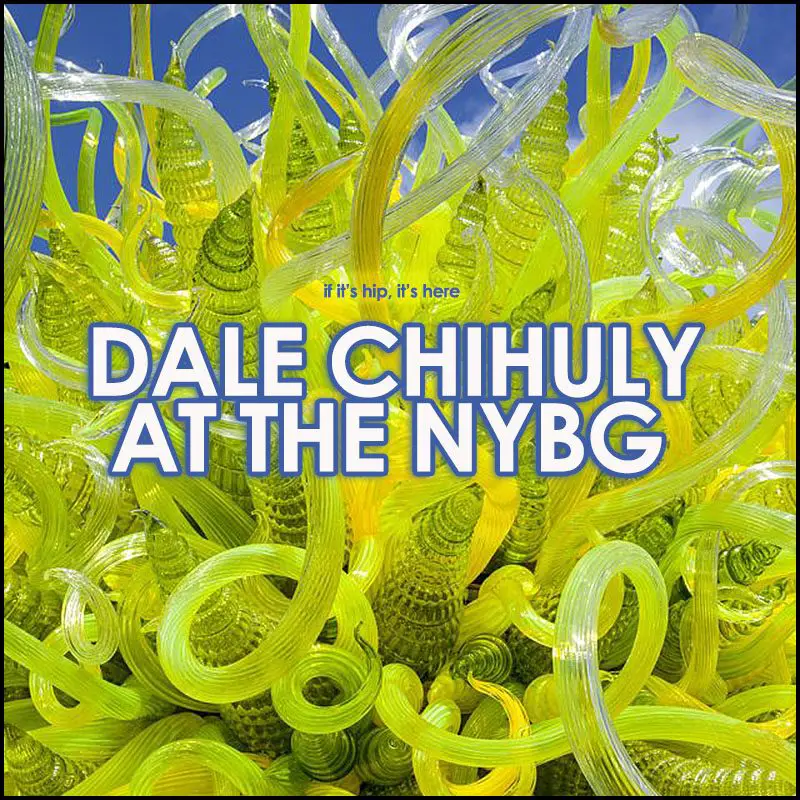 Dale Chihuly at the New York Botanical Gardens
