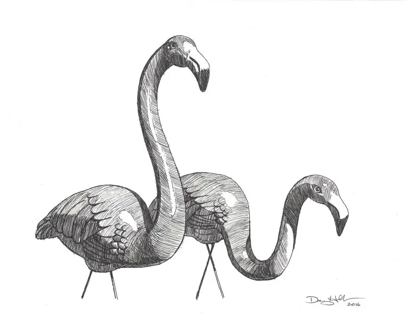 drawing of pink flamingos