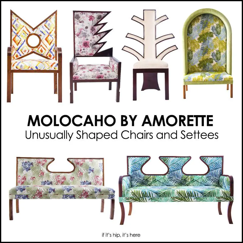 Molocaho by Amorette