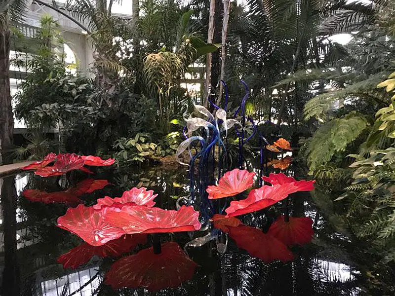 blown glass flowers chihuly