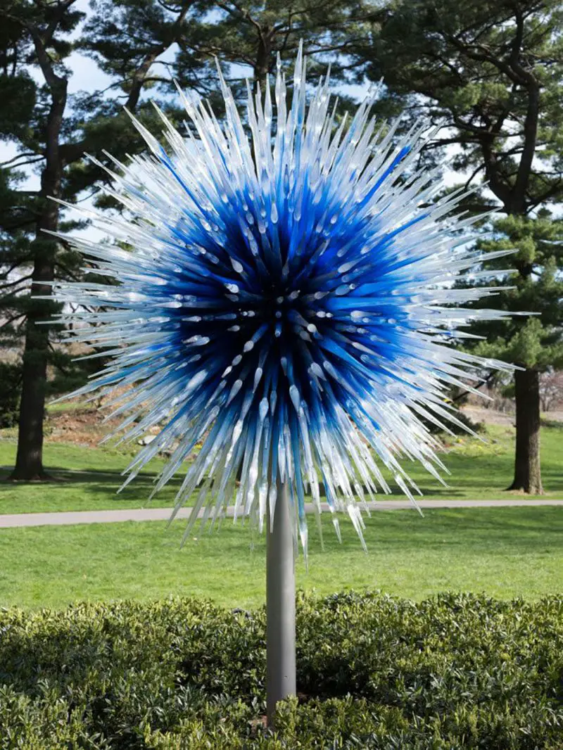 dale chihuly sapphire star