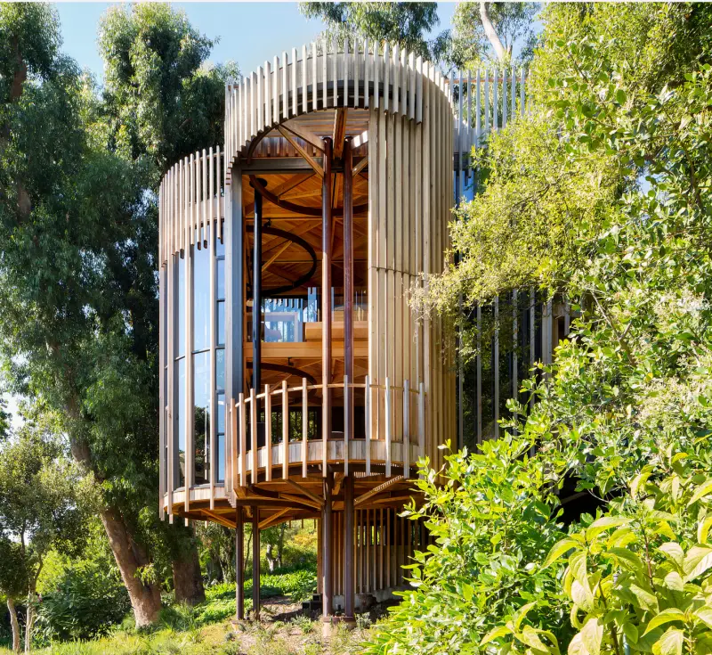Paarman Family Estate Constantia Treehouse