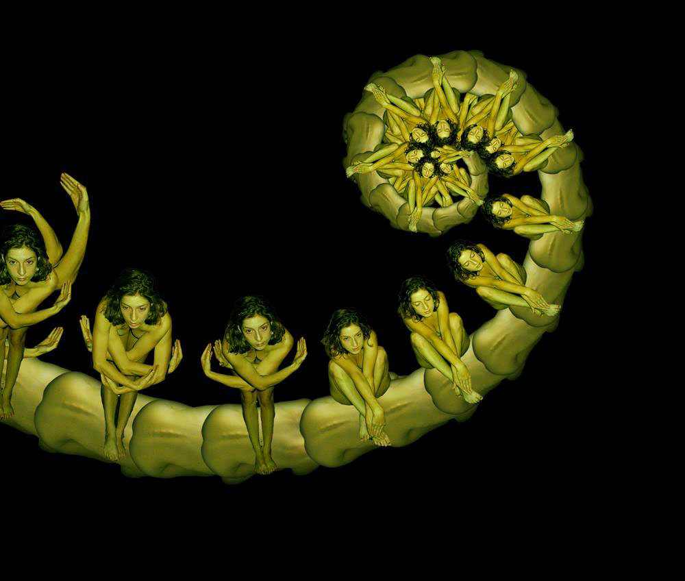 Human Flower Project If It's Hip It's Here | The latest in global design and creativity
