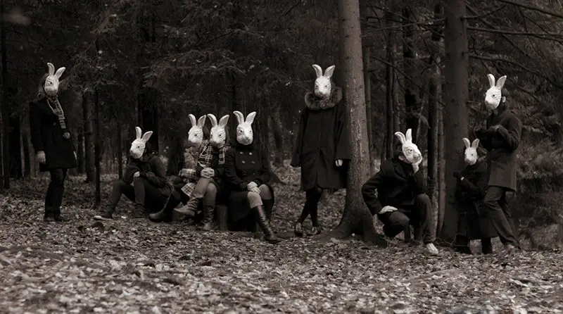 Bunnyland Photos by Alena Belijakova