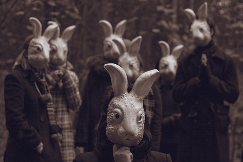 Bunnyland Photos by Alena Belijakova