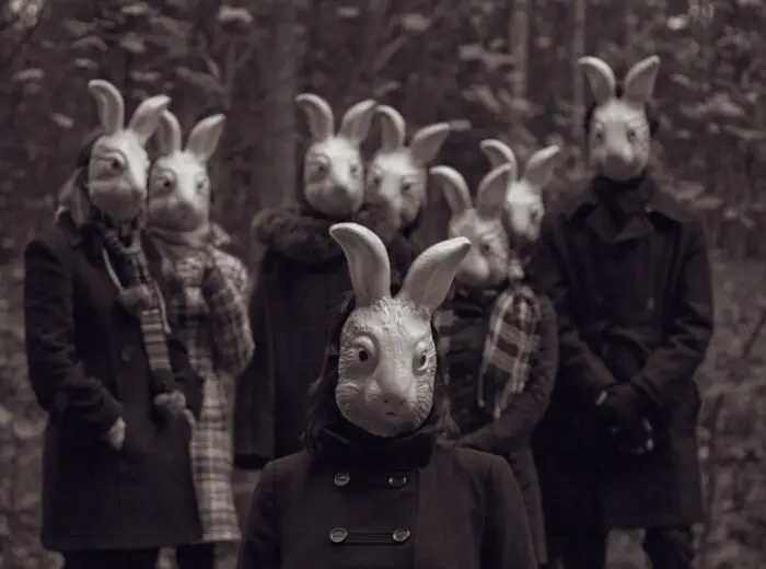 Bunnyland Photos by Alena Belijakova