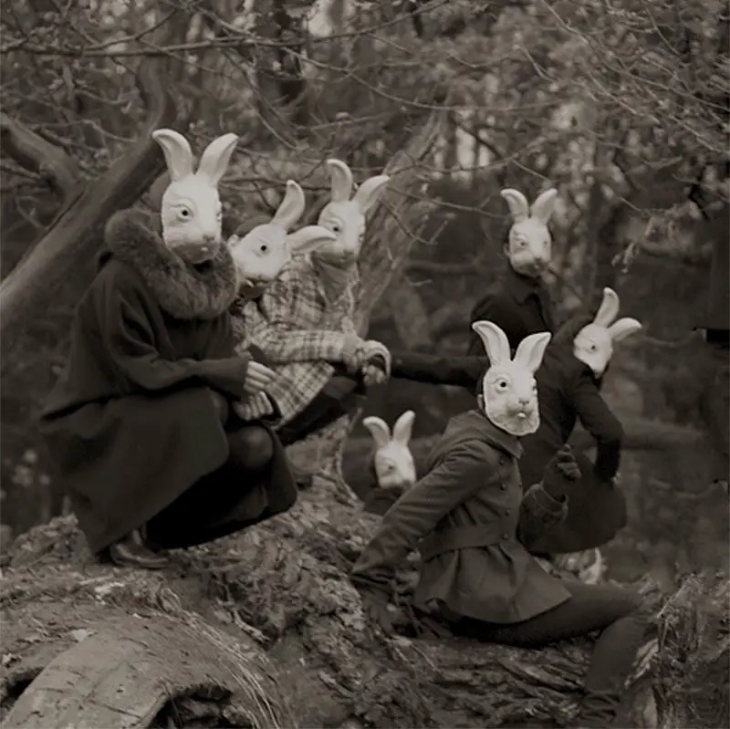 Bunnyland Photos by Alena Belijakova