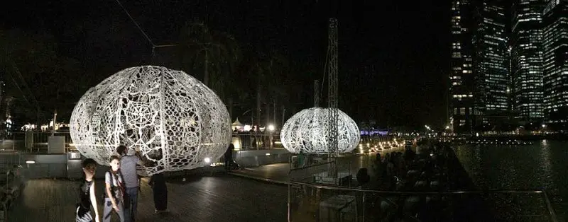 Choi+Shine Architects Giant Lace Urchins