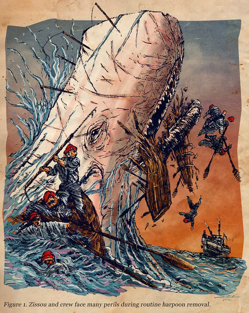 Moby Dick Vs The Aquatic Double Feature Movie Posters