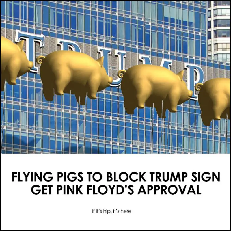 Anti-Trump Flying Pigs Installation