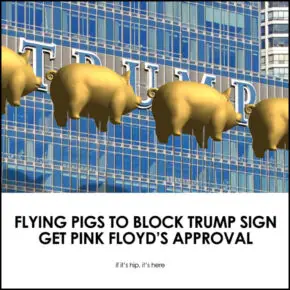 Pink Floyd Gives OK To Anti-Trump Flying Pigs Installation