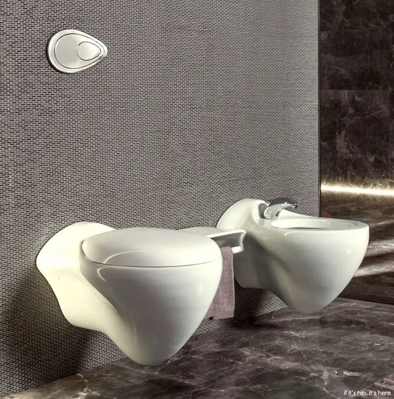 zaha hadid toilet and bidet