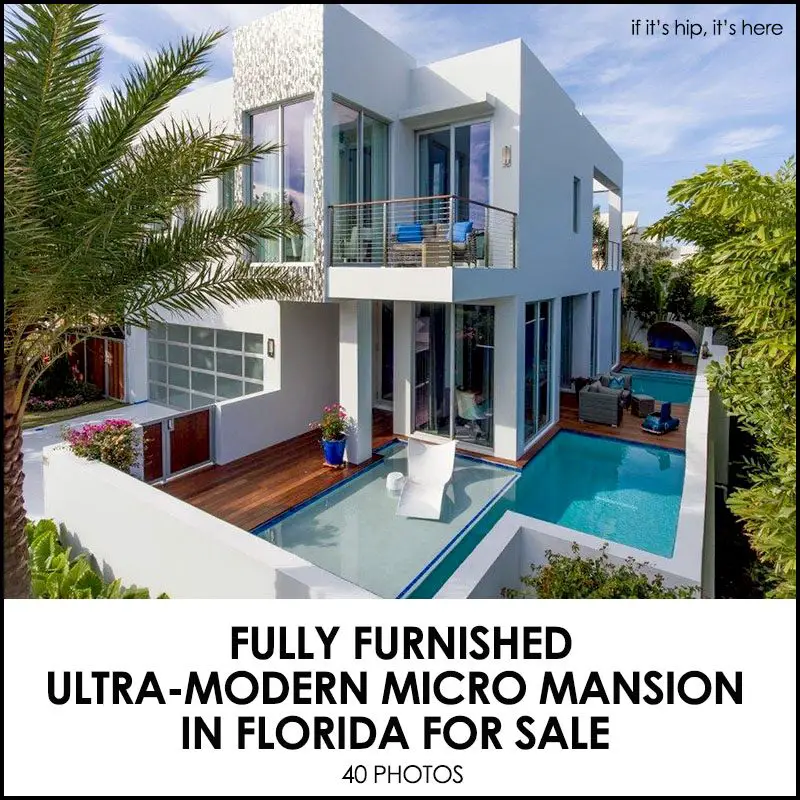 Furnished Modern Micro Mansion Florida