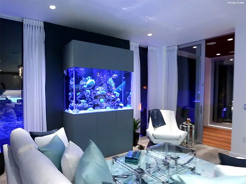 living room aquarium