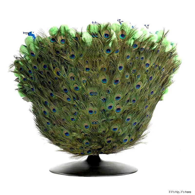 peacock chair