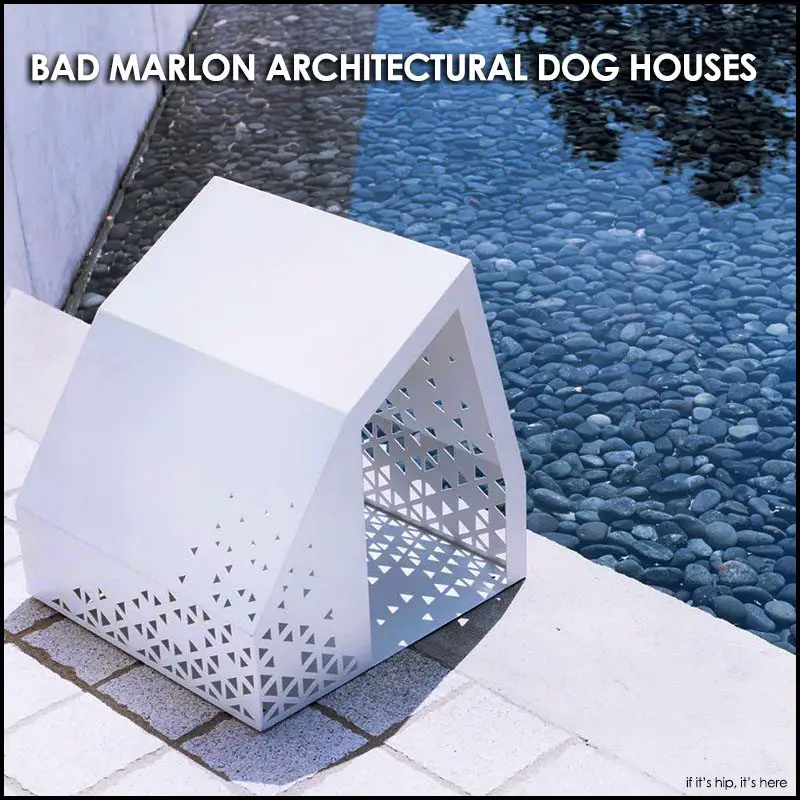 architectural dog houses