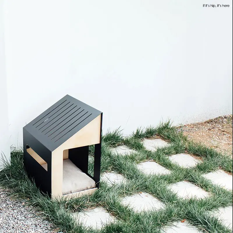 modern dog houses