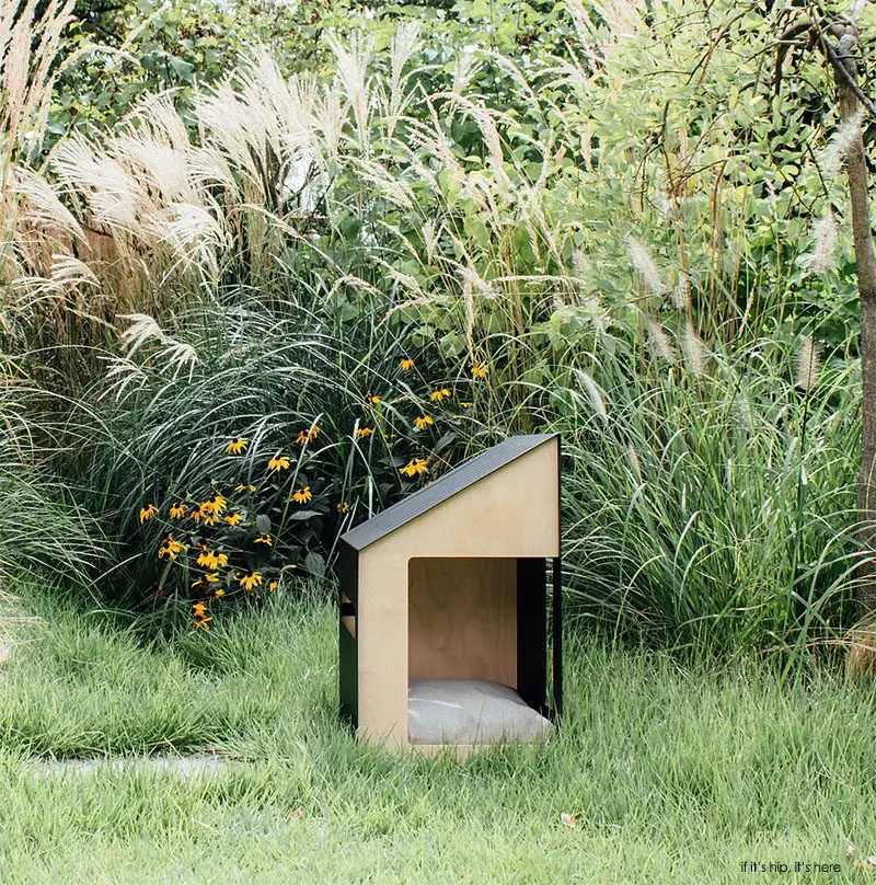 modern steel and wood dog house