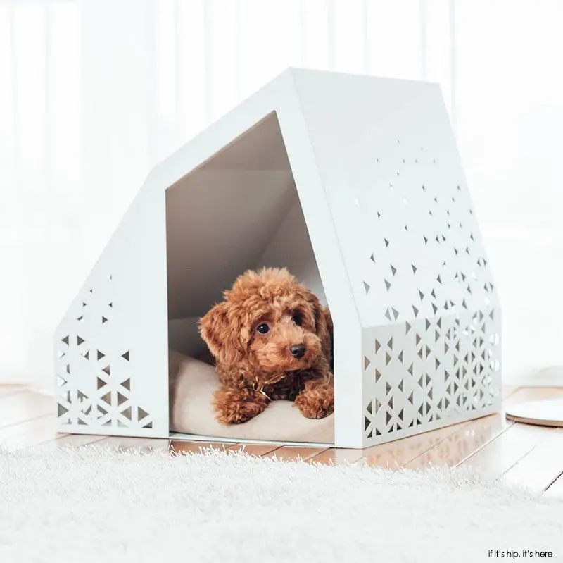 modern dog houses south korea