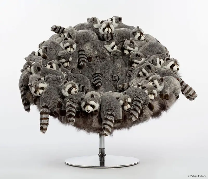 Rocky Racoon Chair