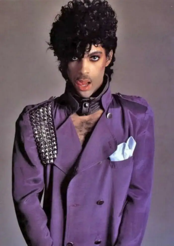 the purple one prince