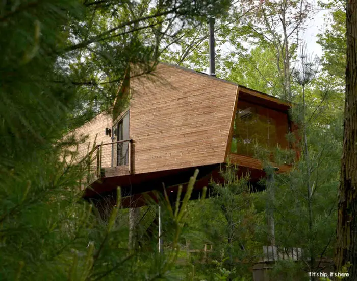 tree house designs