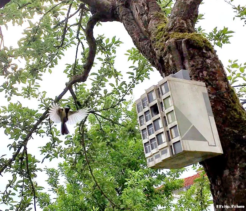 Zimmermann bird houses