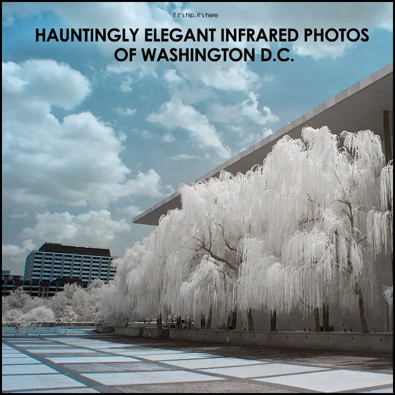 infrared photos washington DC