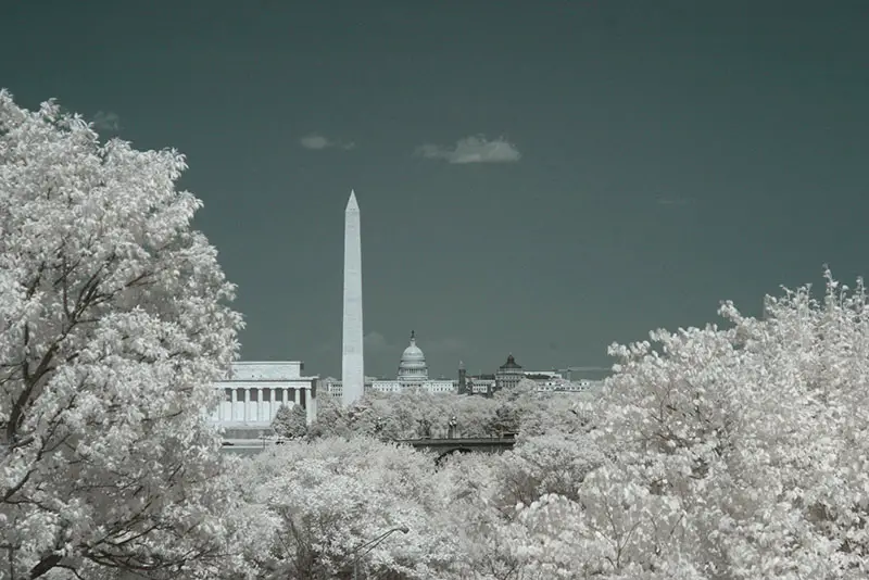 Washington Monument and Capitol Building