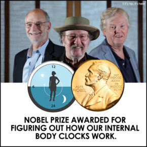 Three Guys Figure Out Our Internal Biological Clocks & Win Nobel Prize