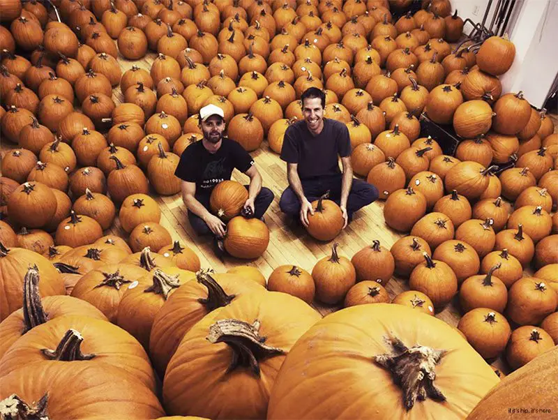 Stop Motion Pumpkin Carving