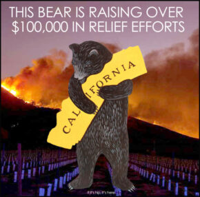 A Bear Hugging California is Raising Over $100,000 in Relief Efforts