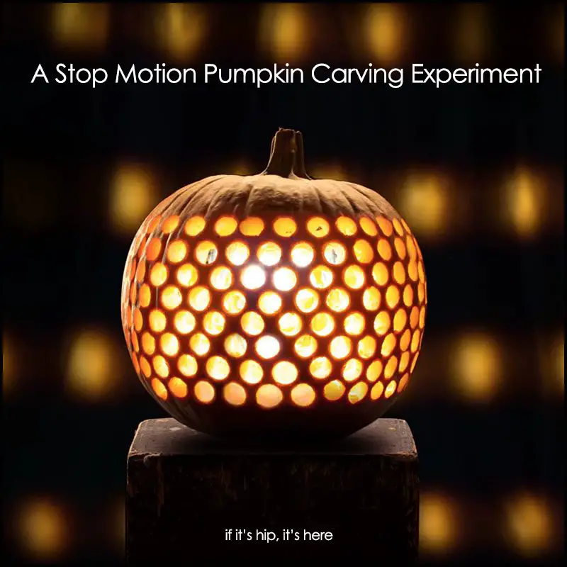 stop motion pumpkin carving