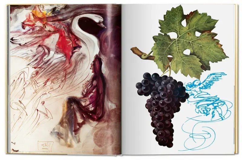 salvador dali wine book