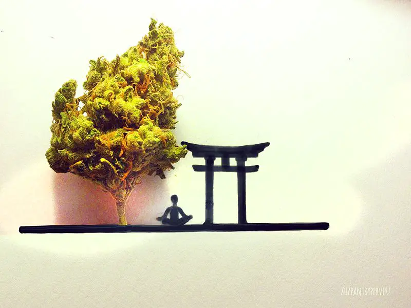 weed art