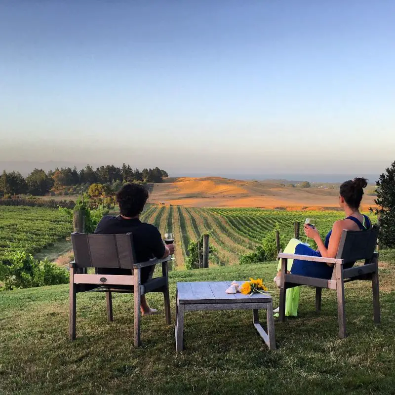 Millar Road overlook the vineyards for the Supernatural Wine Co