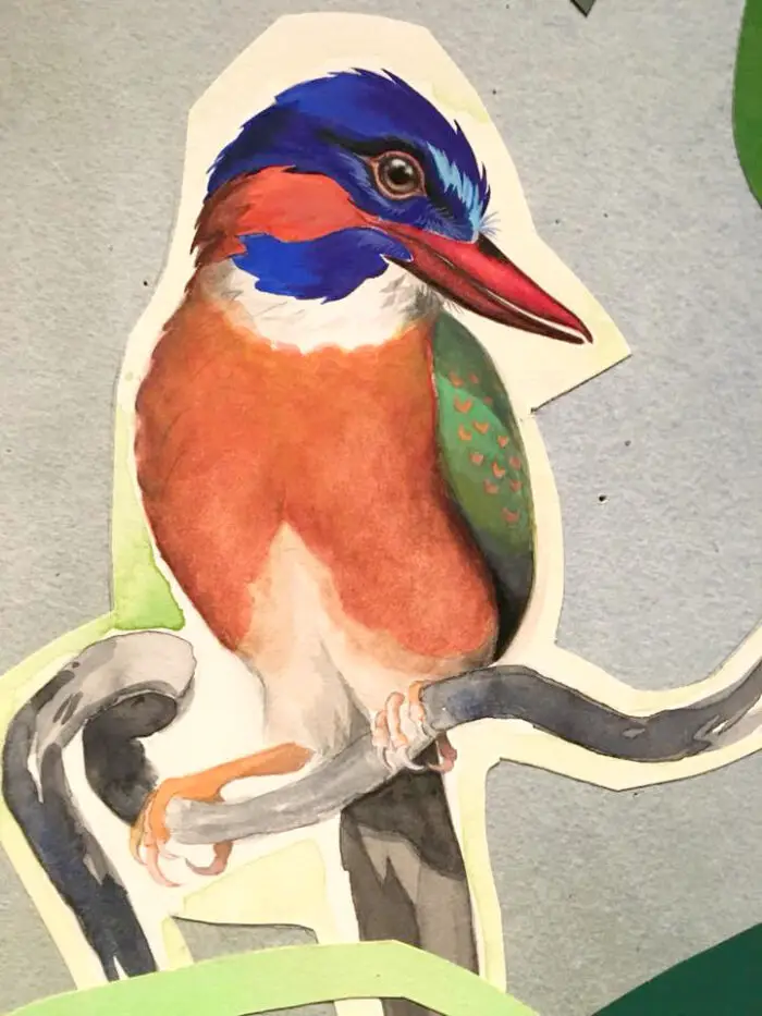Blue capped Kingfisher (detail)