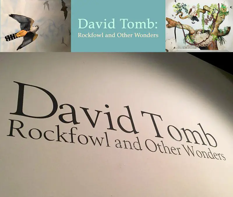Rockfowl and Other Wonders by David Tomb