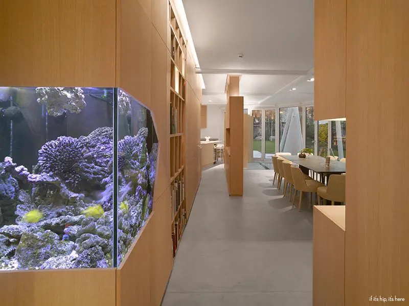 inset aquarium