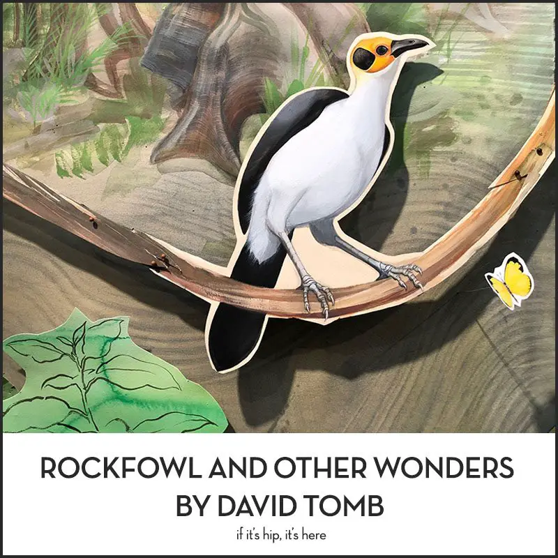 David Tomb bird paintings