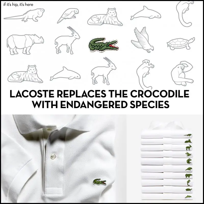 lacoste save our species