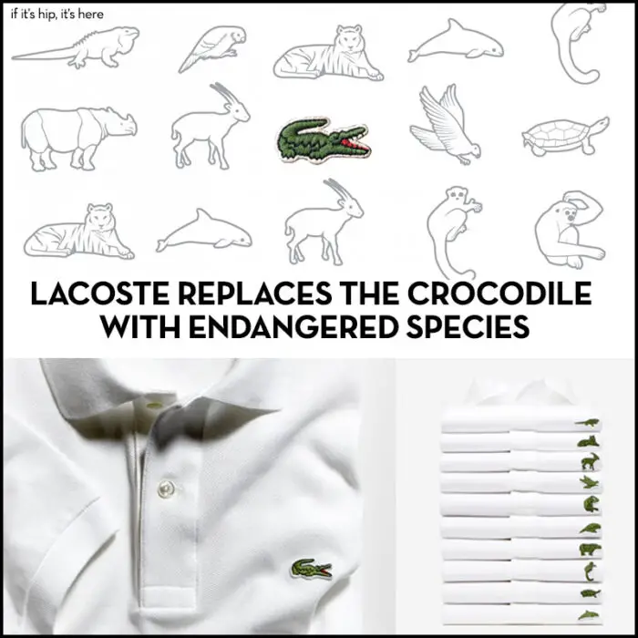 Read more about the article Lacoste Replaces Their Famous Crocodile With Endangered Species
