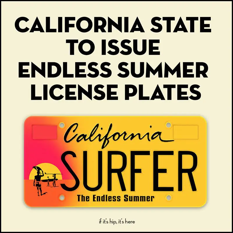 Endless Summer License Plates
