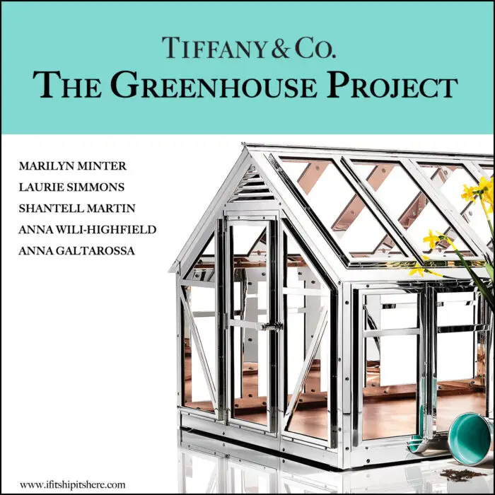 Read more about the article Tiffany & Co. Has 5 Artists Reimagine Their Sterling Silver Tabletop Greenhouse
