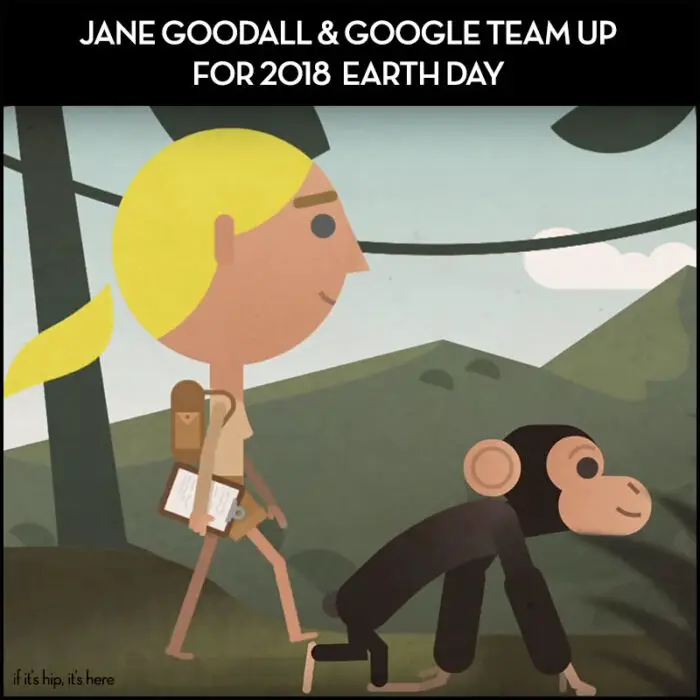 Read more about the article Jane Goodall and Google Team Up for 2018 Earth Day Doodle