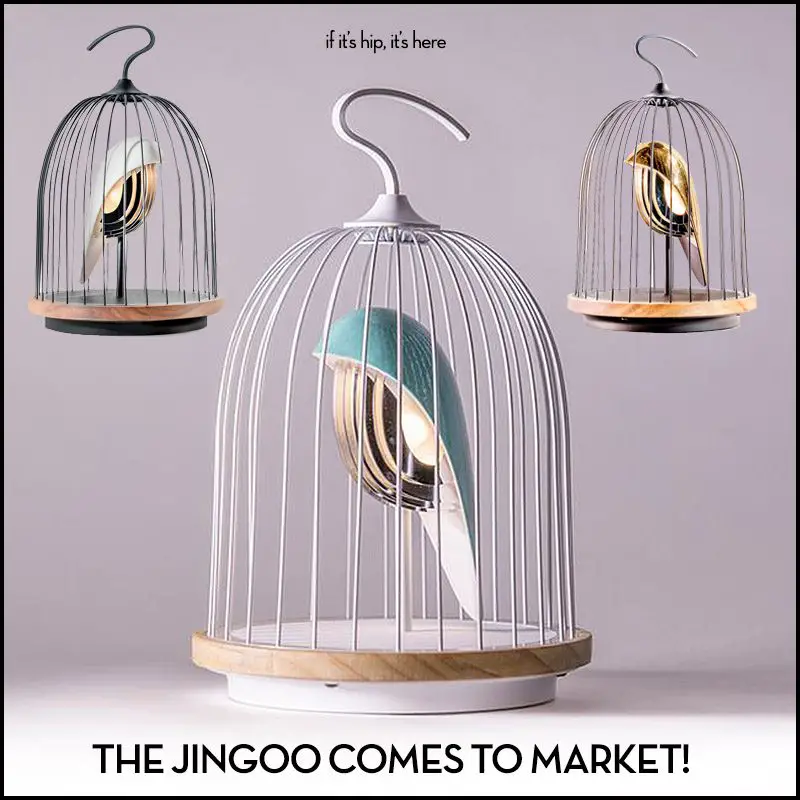 jingoo daqi concepts